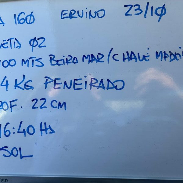 WhatsApp Image 2025-11-06 at 08.11.33